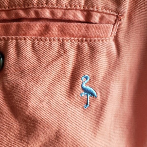 Tailorbyrd Flat Front Twill Shorts Garment Dyed - Picture 3 of 8